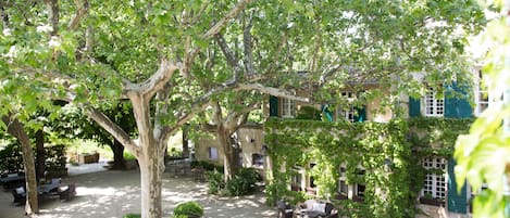 Um pátio com mesas ao ar livre, uma grande árvore e um edifício com persianas verdes.