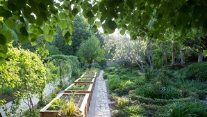 A garden pathway with raised beds and a stone walkway. - Le Prieure - Relais & Chateaux (Villeneuve-les-Avignon)