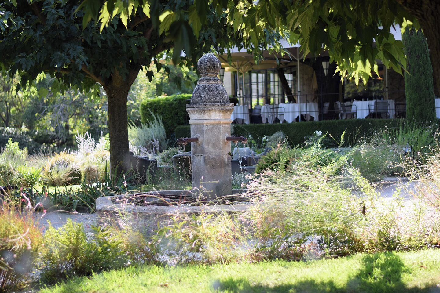 Un jardín con una fuente de piedra, abundante vegetación y un pabellón al fondo.
