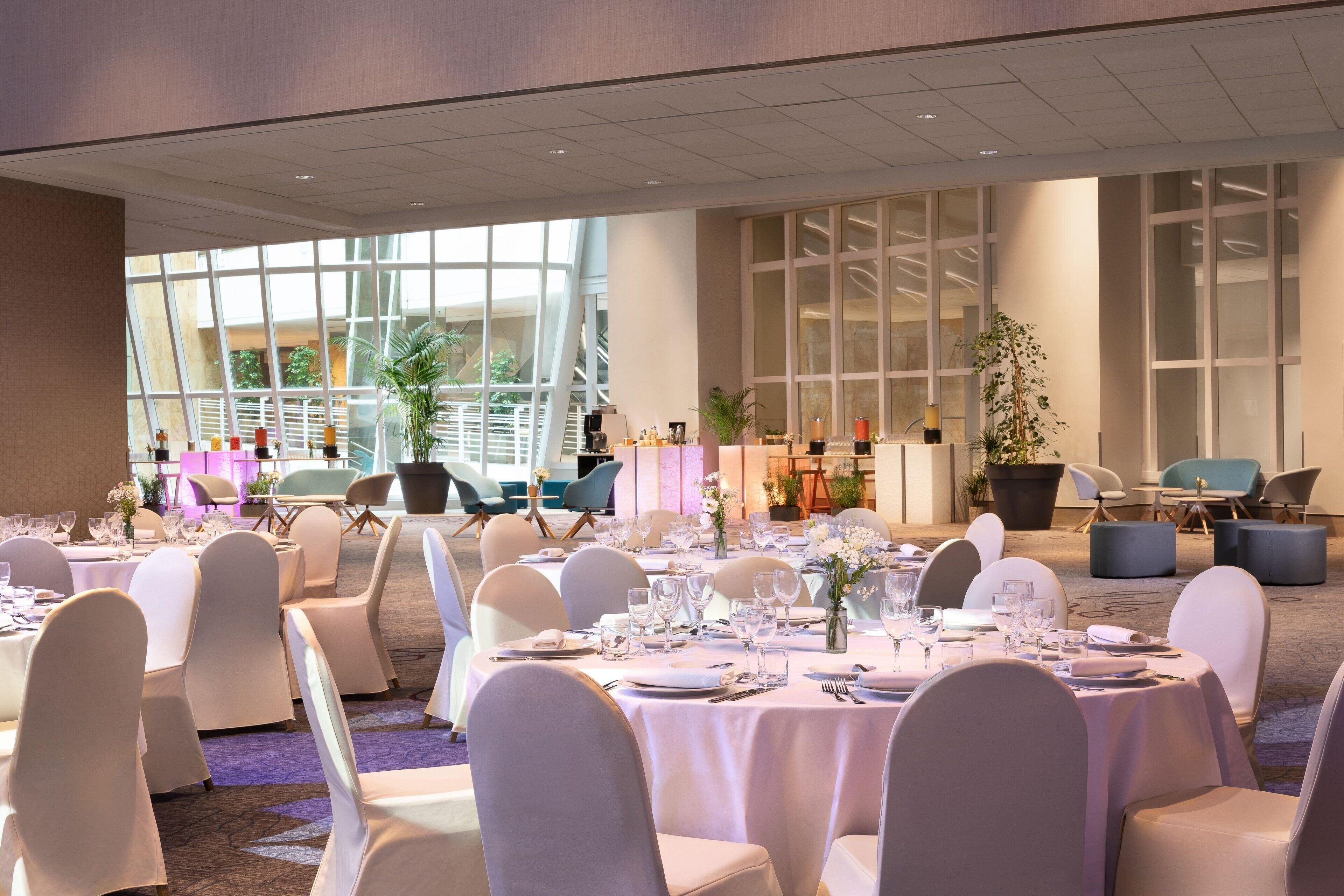 A banquet hall with round tables set for dining, large windows, and indoor plants.