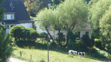 A rural landscape with a house, trees, and two cows grazing.
