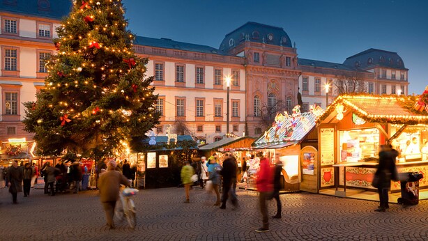 A large Christmas tree in front of a historic building with a market stall nearby. - Best Western Hotel Darmstadt Mitte (Darmstadt)