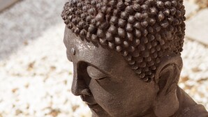 A seated Buddha statue with a lotus flower. - Best Western Hotel Darmstadt Mitte (Darmstadt)