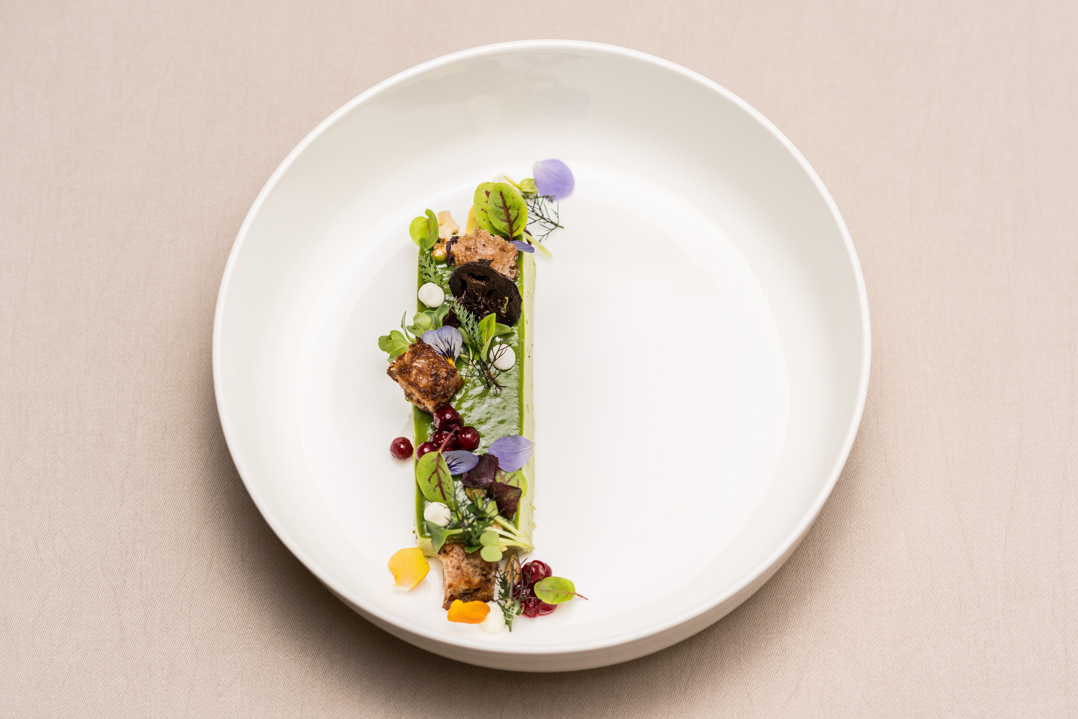 A white plate with a neatly arranged dish of food, including greens, herbs, and small fruits.