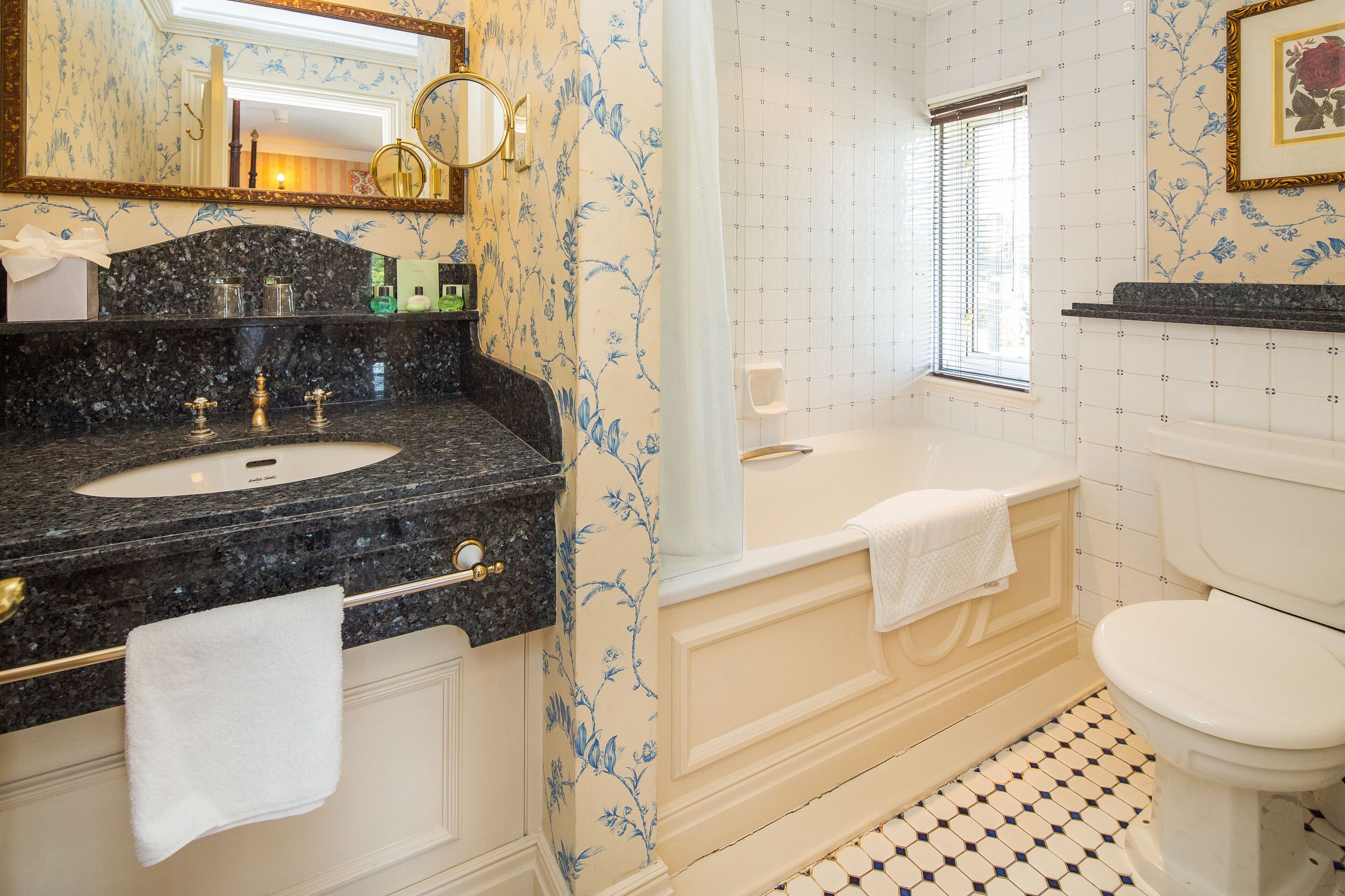 combined shower/bathtub, free toiletries, hair dryer, towels