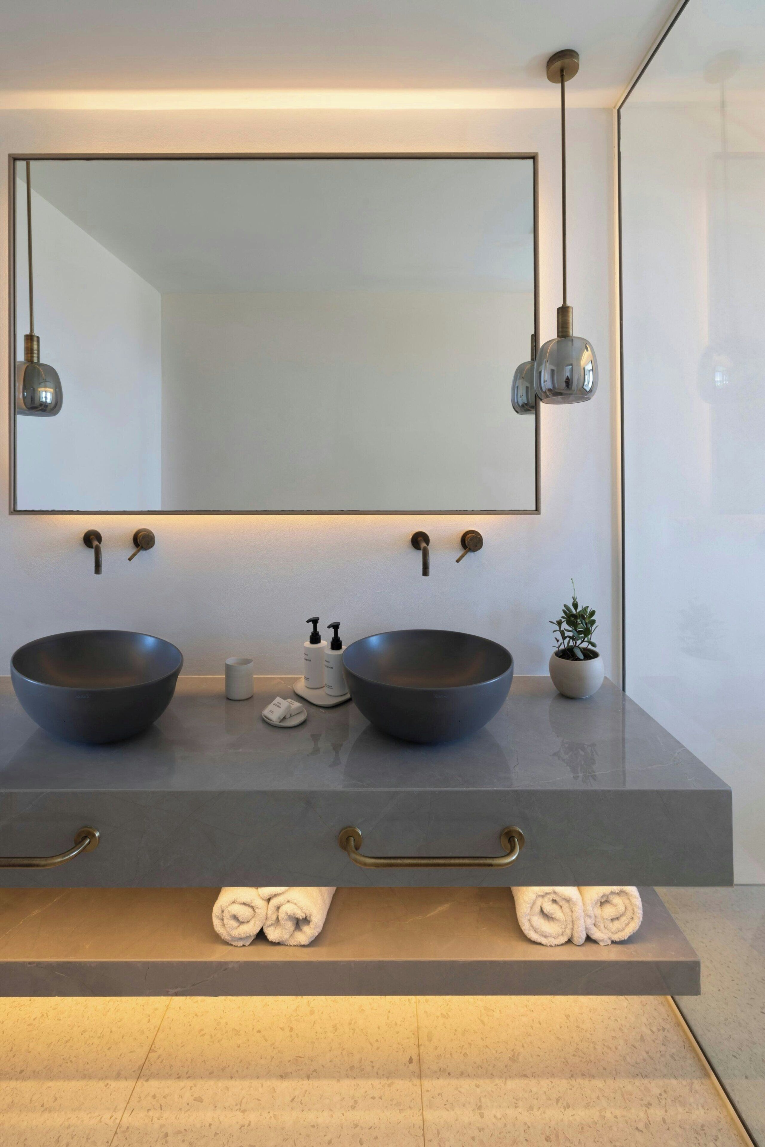 Une salle de bain moderne avec deux grands lavabos, un grand miroir et une petite plante.