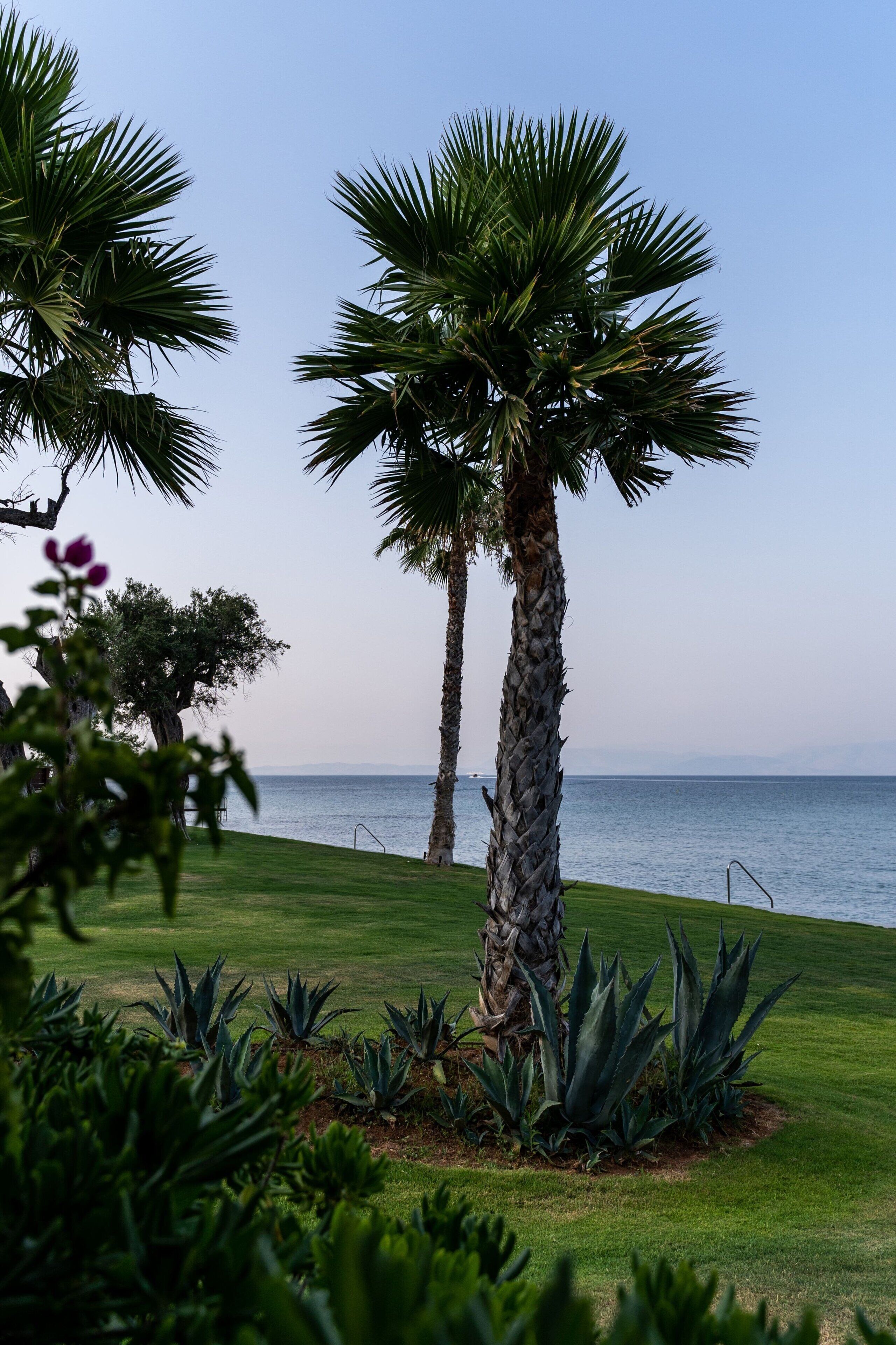 Foto - Domes Miramare, a Luxury Collection Resort, Corfu - Adults Only