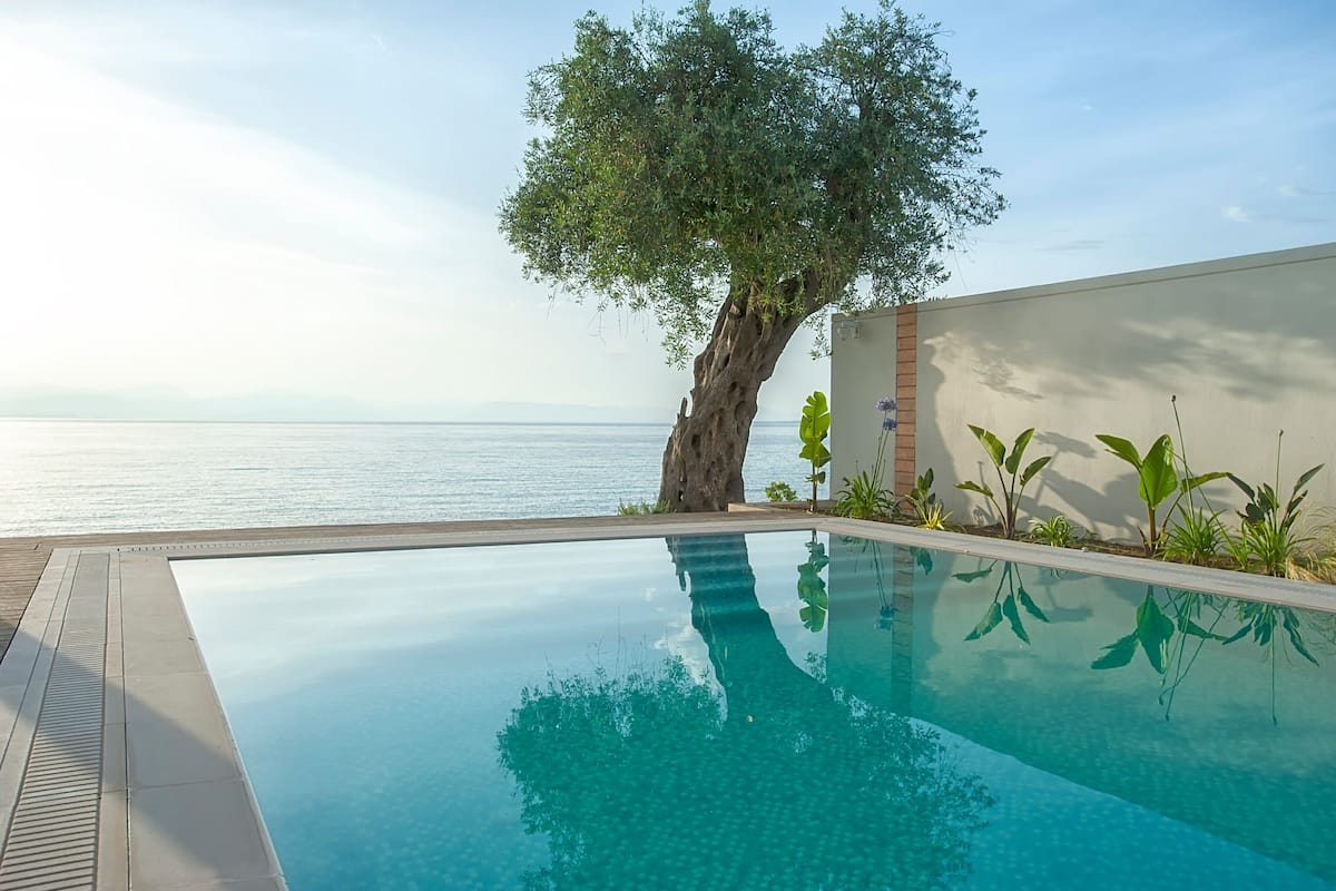 A clear swimming pool with a tree and plants on the side, overlooking a body of water.