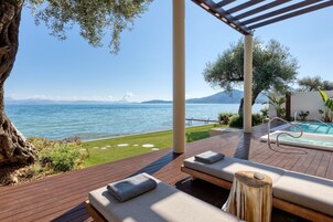 Villa, 1 Bedroom, Private Pool (HRH Ivory Villa) | View from room