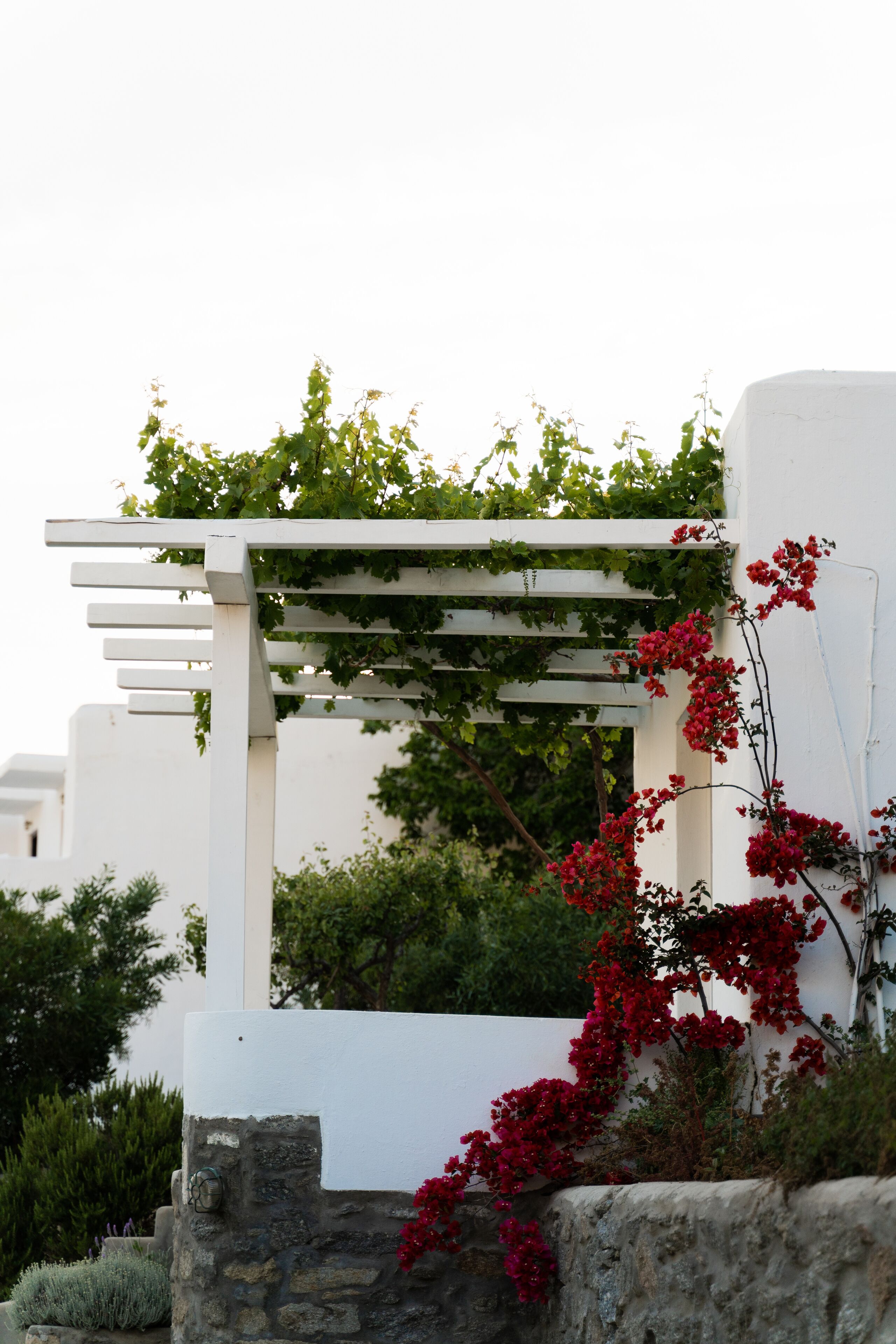 bungalow, sea view | 1 bedroom, egyptian cotton sheets, select comfort beds, minibar