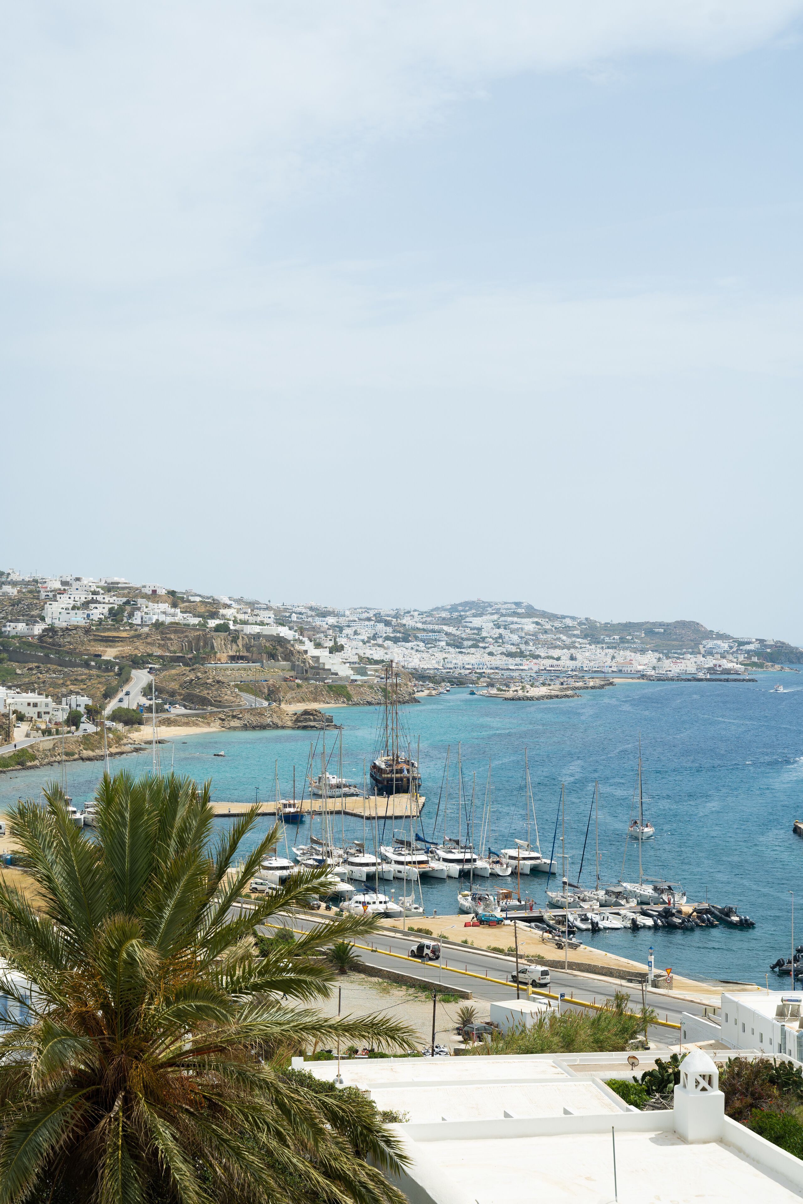 A coastal town with a marina, white buildings, and a palm tree.