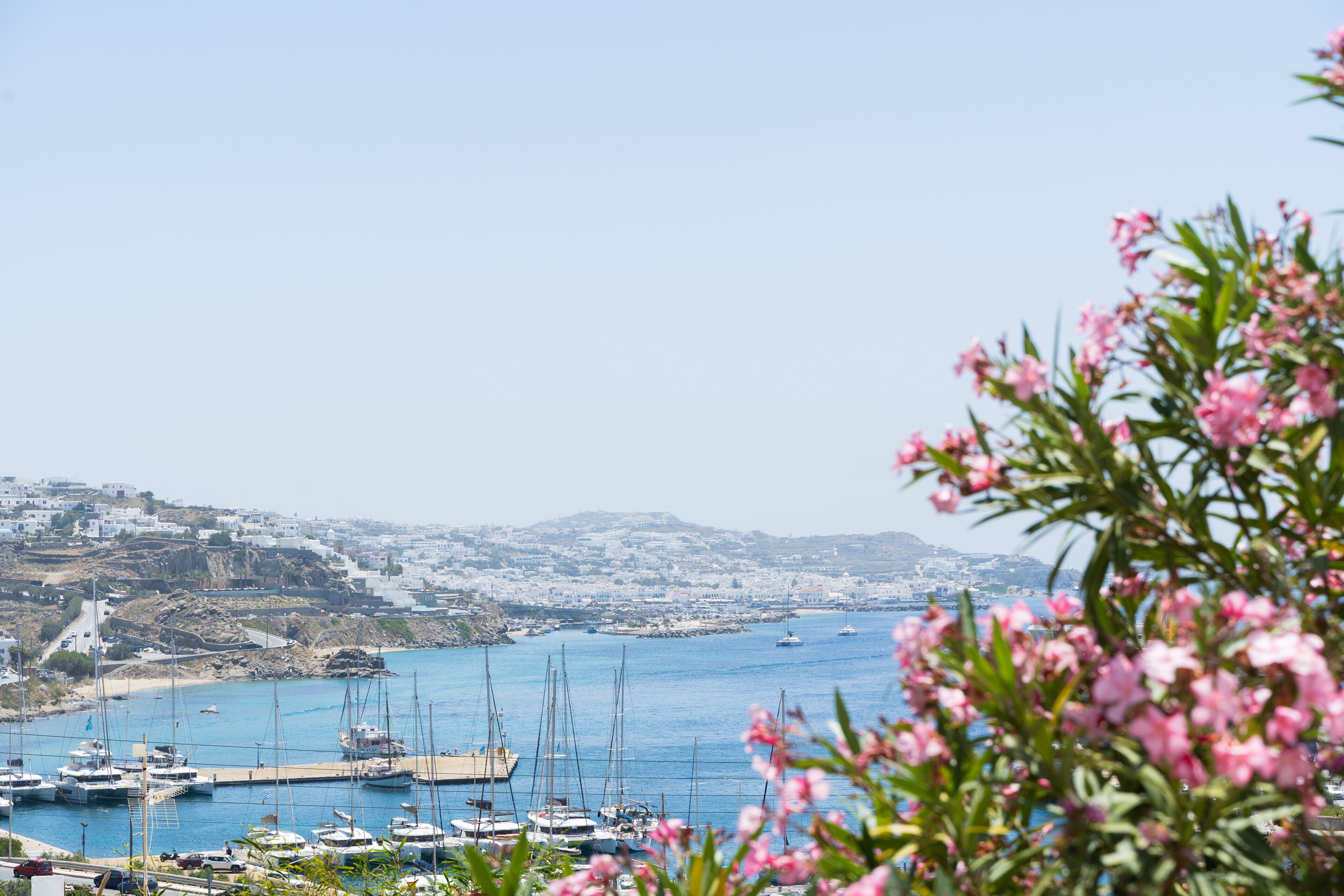 bungalow, sea view | view from room