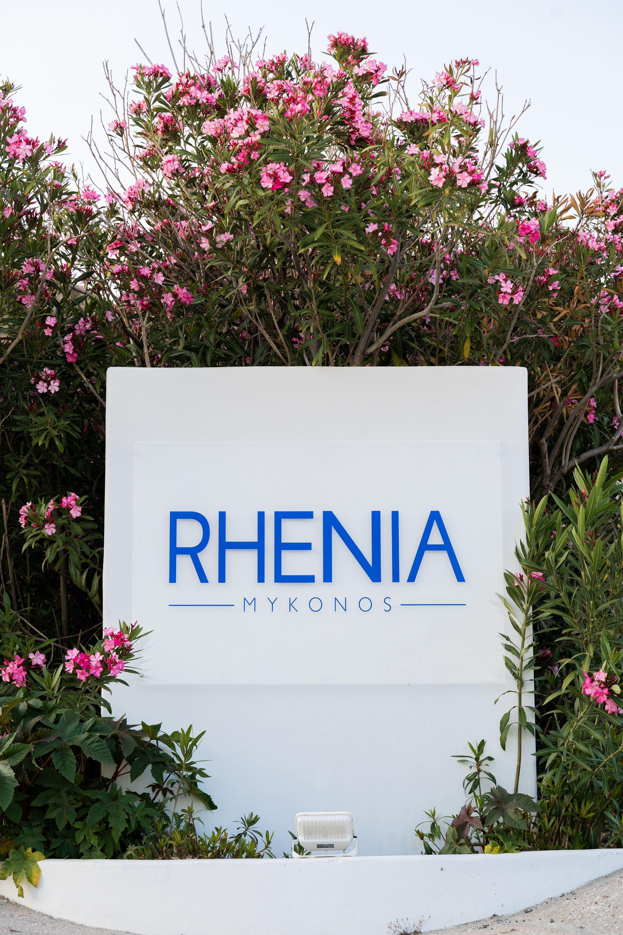 Photo - Rhenia Hotel