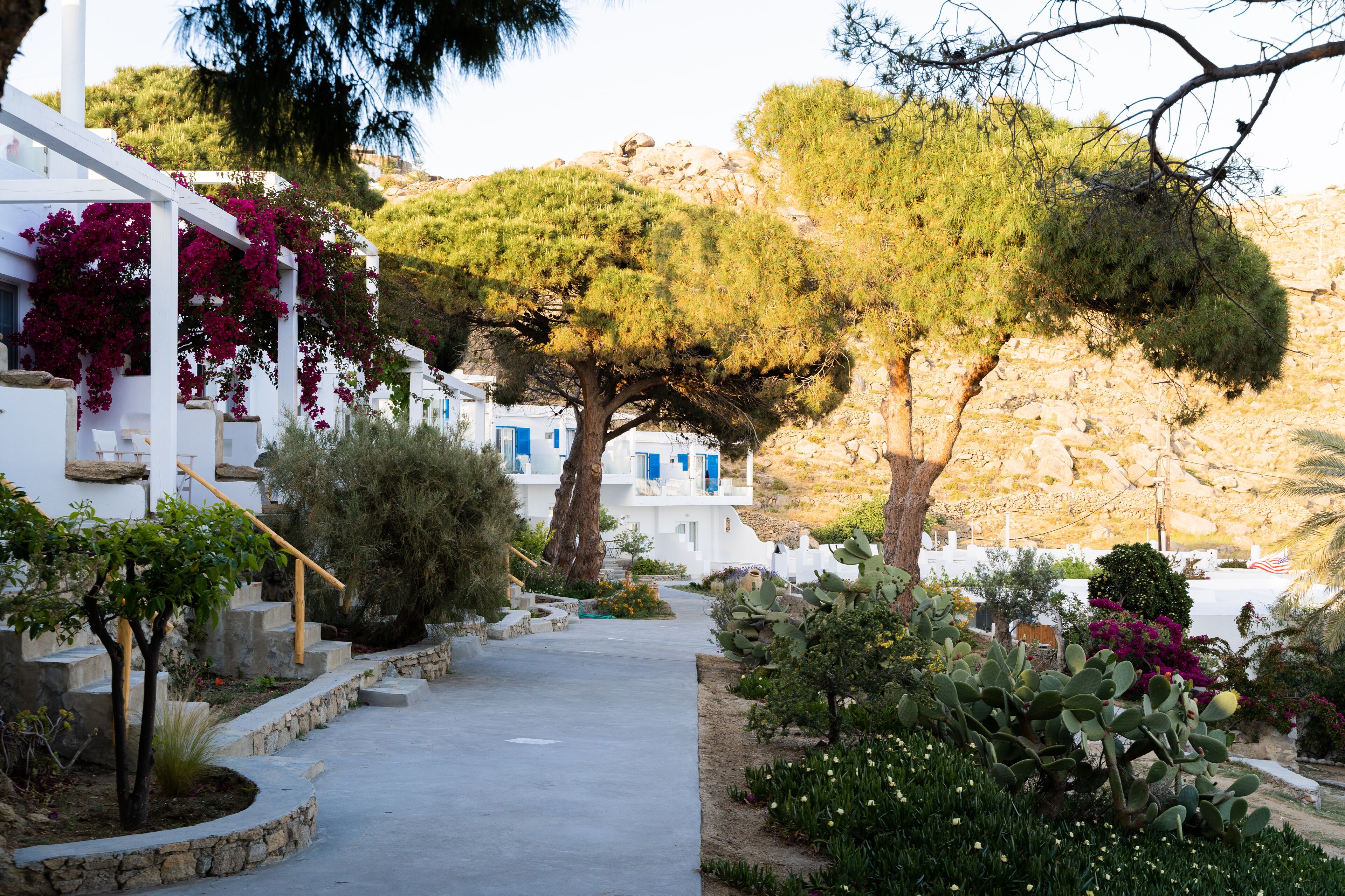 standard room, sea view | 1 bedroom, egyptian cotton sheets, select comfort beds, minibar