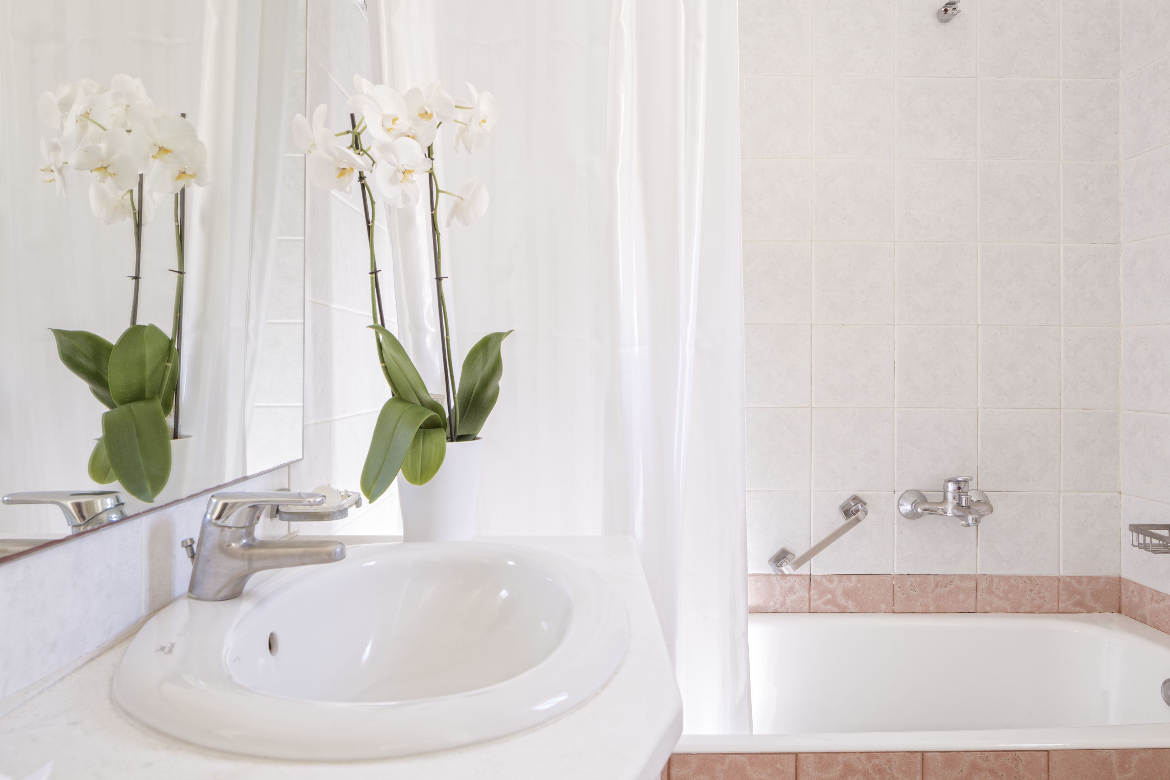 standard room, sea view | bathroom | shower, free toiletries, hair dryer, slippers