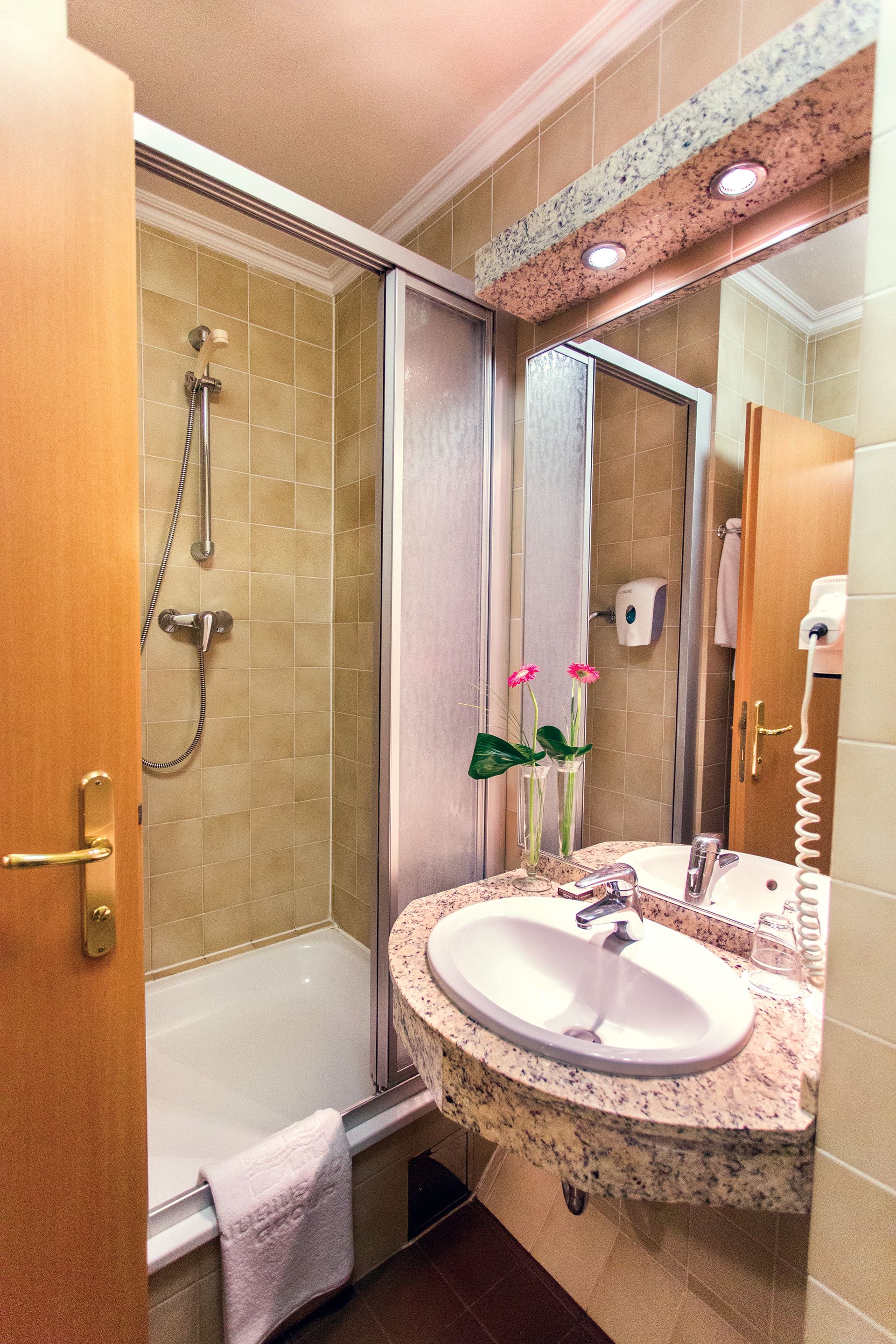 eco-friendly toiletries, hair dryer, towels