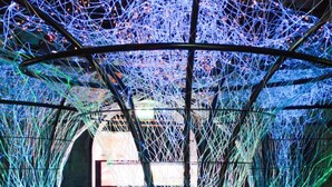 A modern art installation with illuminated structures resembling trees in a gallery setting. - The Mont (Dublin)