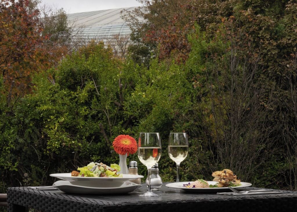 Una mesa de comedor al aire libre con platos de comida y copas de vino, rodeada de abundante follaje y una estructura invernadero al fondo.