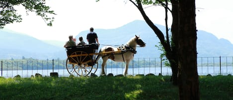 Ein mit Pferden gezogener Wagen mit Passagieren an einem See, umgeben von Bäumen und Bergen.