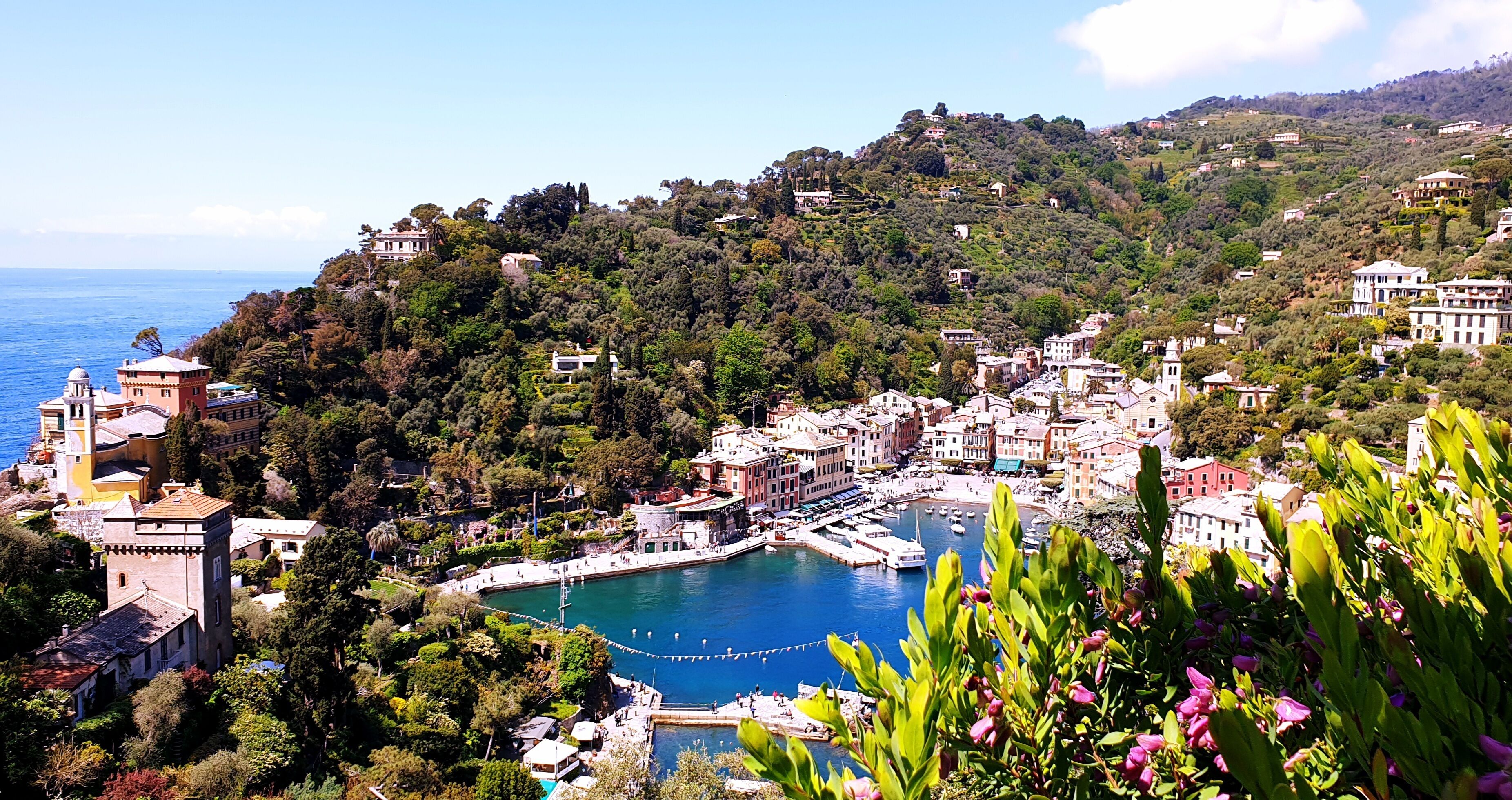 A coastal town with a marina, historic buildings, and lush greenery.