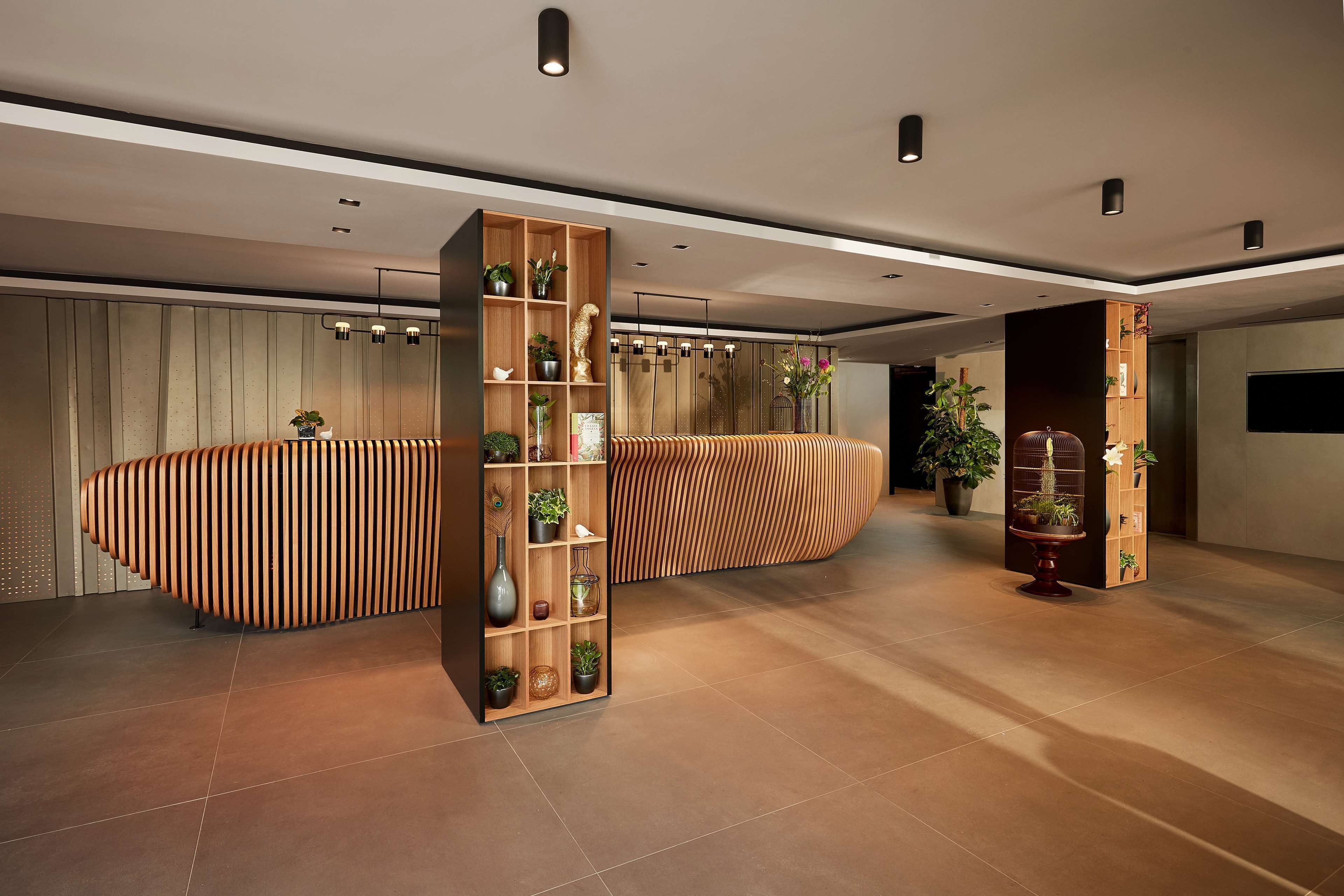 A modern reception area with a curved wooden reception desk, a tall shelving unit with plants, and a potted plant in the center.