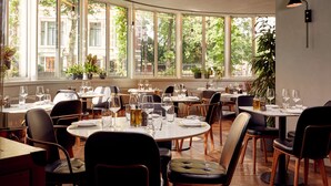 A restaurant with round tables, chairs, and potted plants.