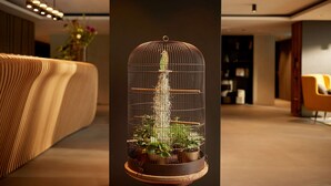 A modern interior with a unique birdcage display containing plants.