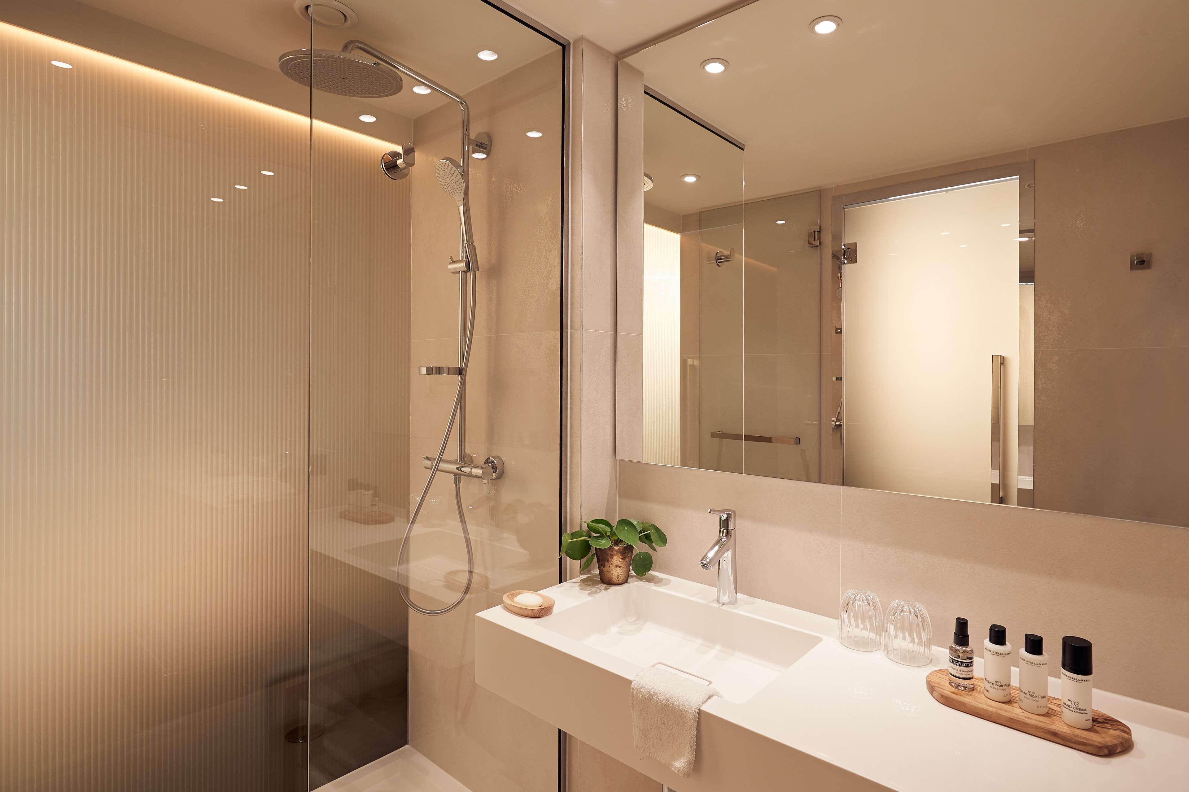 shower, free toiletries, hair dryer, towels