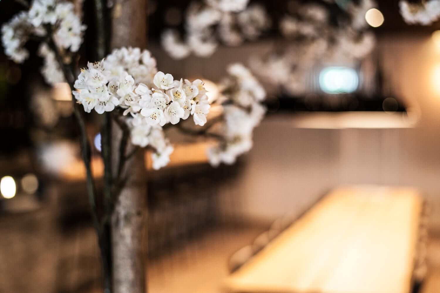 Ambiente interior borroso con énfasis en flores blancas, posiblemente cerezos en flor, y un fondo difuminado que sugiere un espacio cálido y tenuemente iluminado.