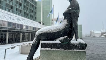 A statue of a seated woman on a pedestal, surrounded by snow, with a modern building and flags in the background.