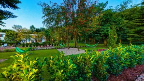 A lush garden with a hammock, a well-maintained lawn, and a variety of trees.