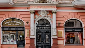 Exteriör