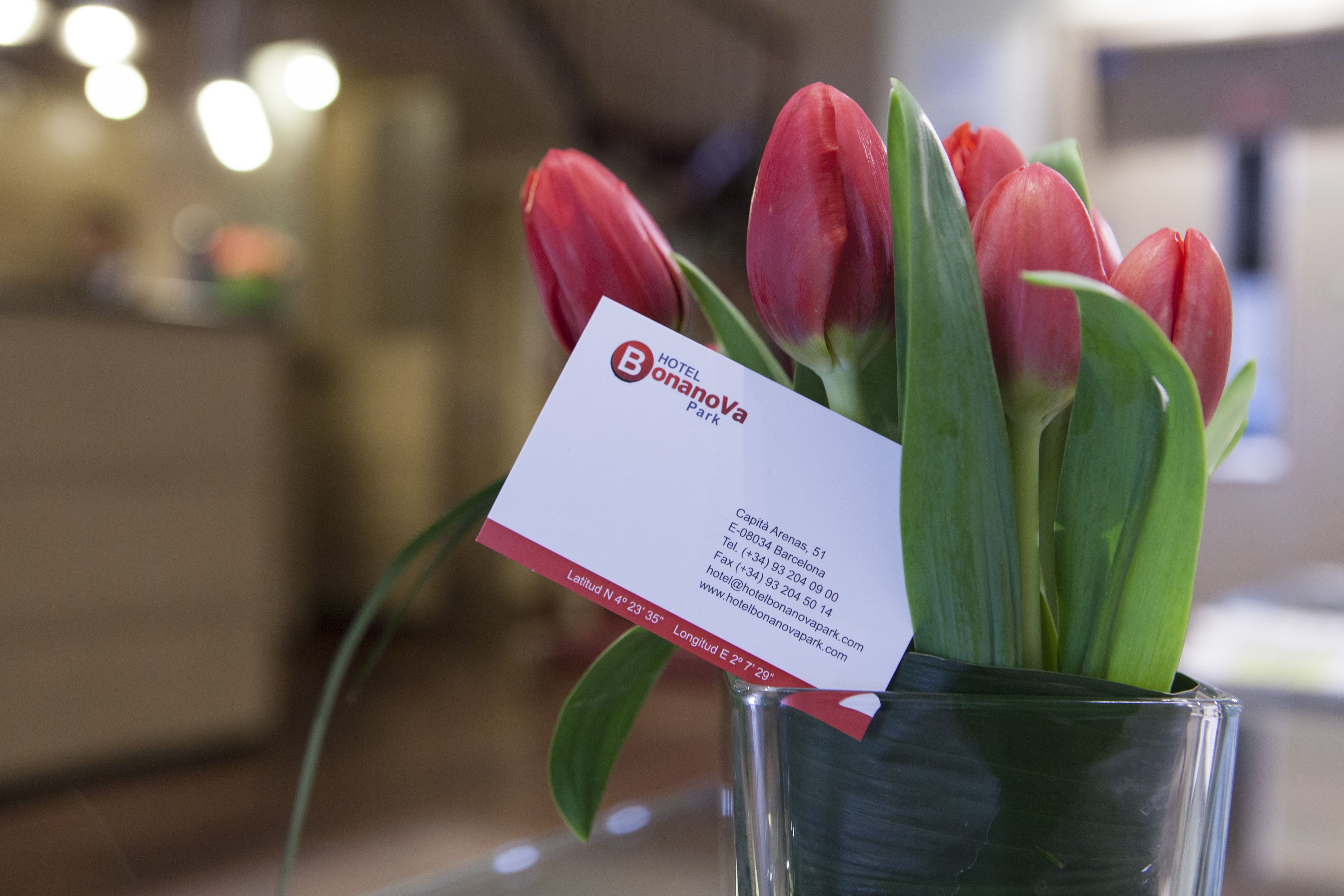 Foto - Bonanova Park