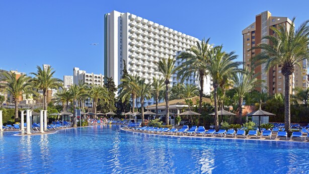 A large swimming pool with blue lounge chairs, palm trees, and a tall hotel building in the background. - Sol Pelícanos Ocas (Benidorm)