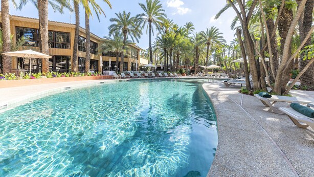 Piscina con agua cristalina, rodeada de palmeras y sillas de descanso.