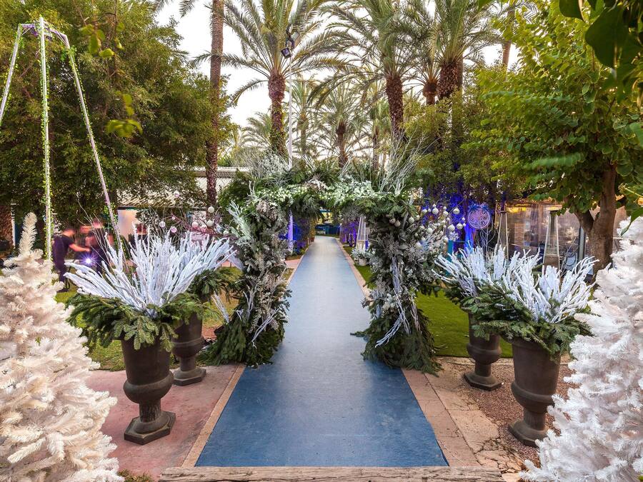 Camí delimitat per arbres blancs i vegetació, que condueix a una zona decorada amb il·luminació blava.
