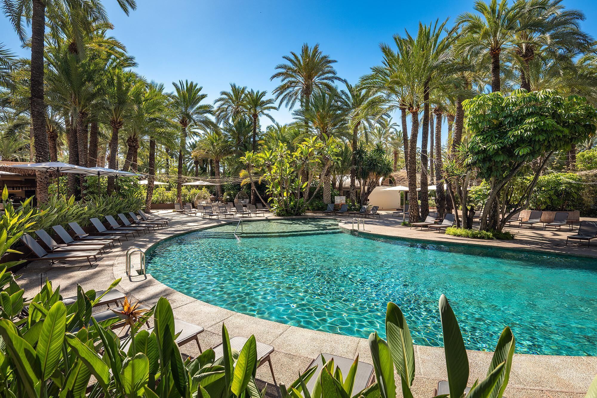 Outdoor pool, sun loungers