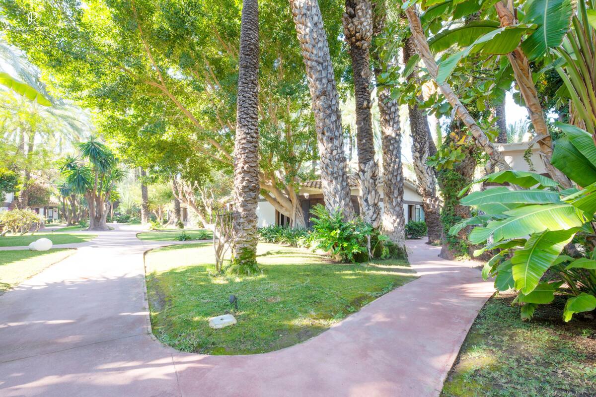A pathway leading through a garden with palm trees and lush greenery.