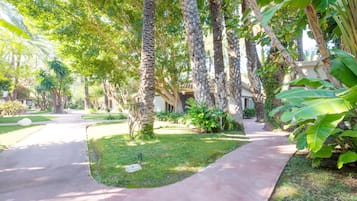 Un sendero serpentea por un jardín con palmeras y abundante vegetación.