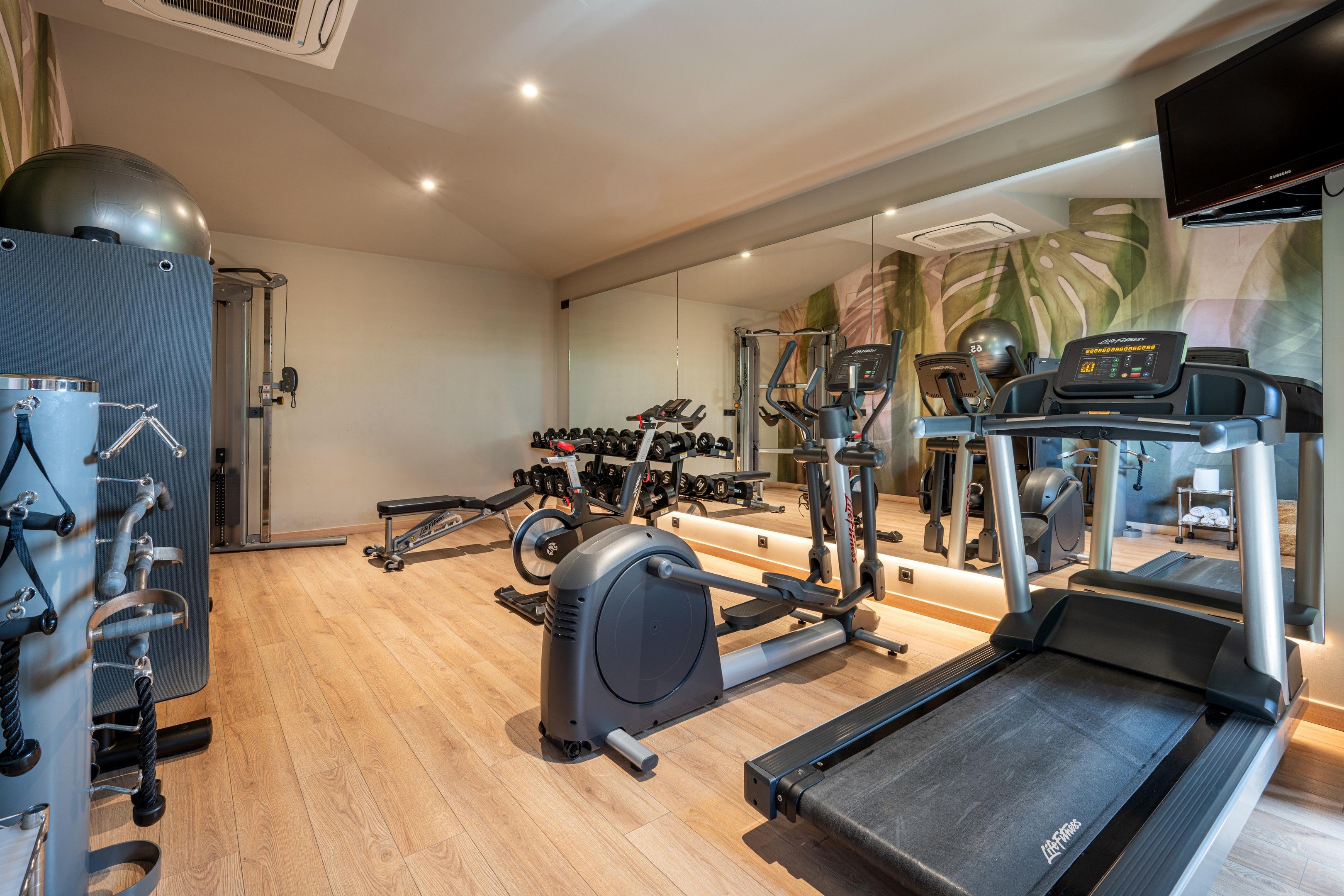 Un gimnasio con diversos equipos de ejercicio, incluyendo cintas de correr, máquinas de pesas y pesas libres.