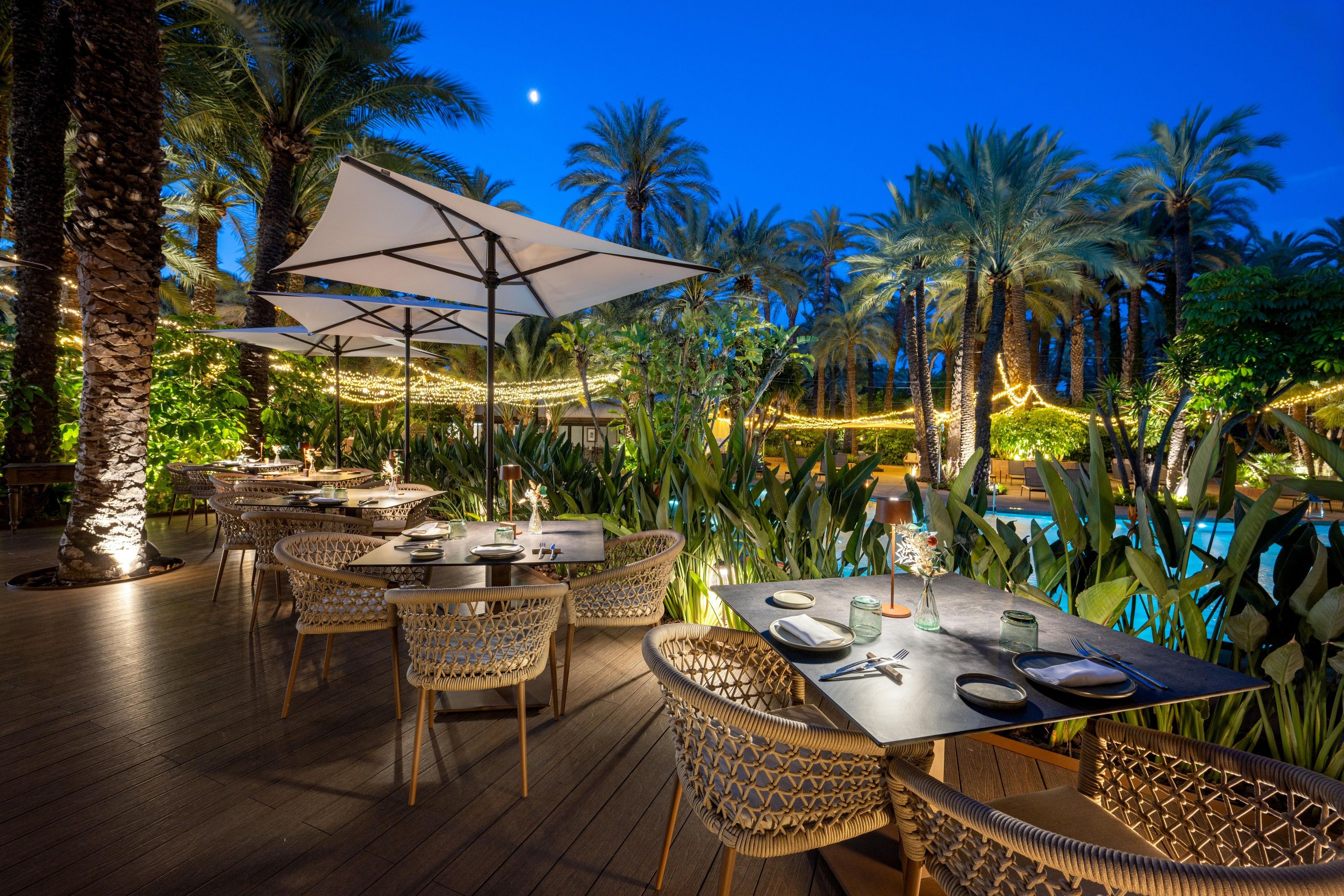 An outdoor dining area with tables and chairs, surrounded by palm trees and a pool.