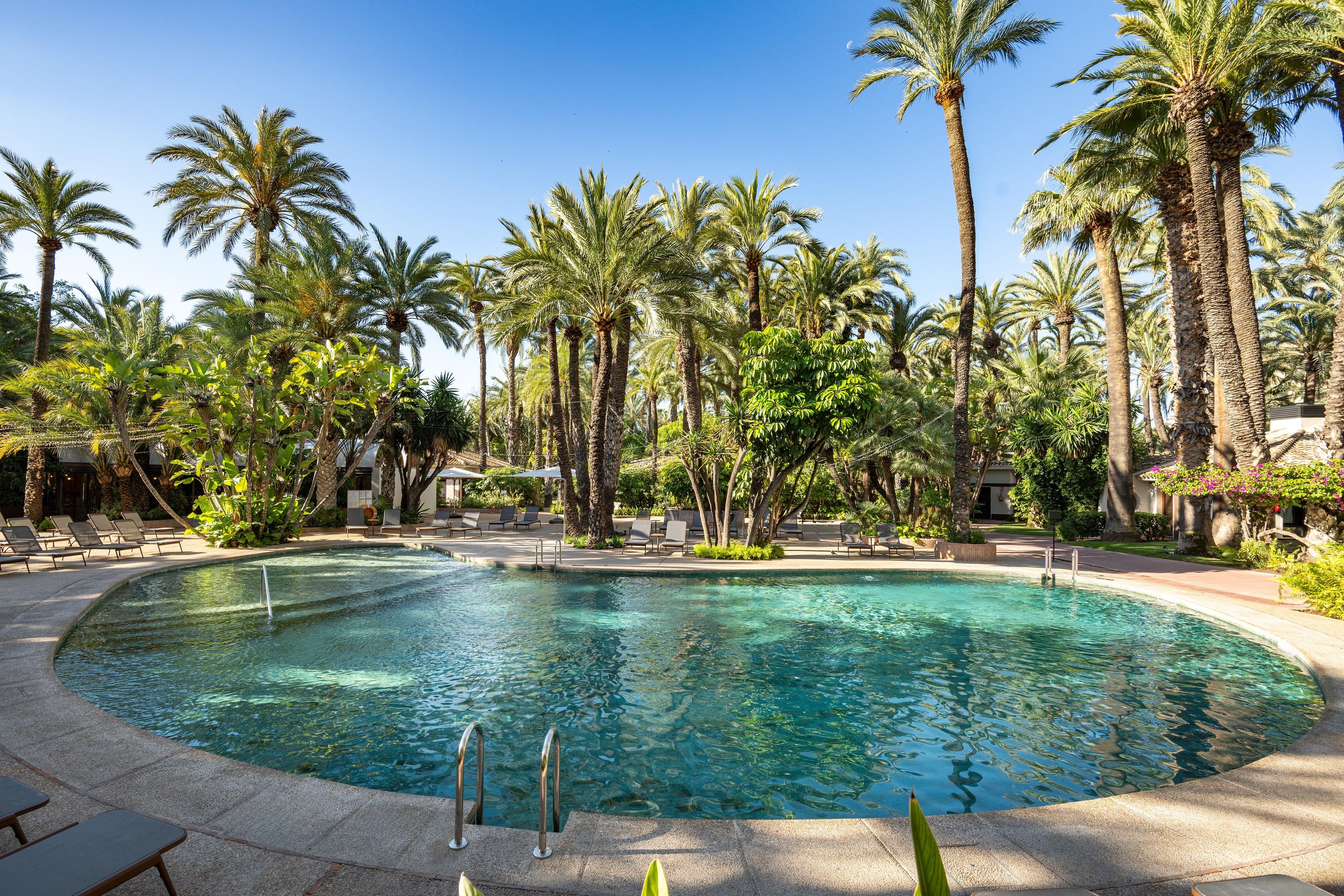 A pool surrounded by palm trees and lounge chairs.