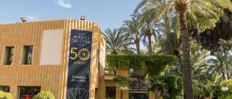 A hotel entrance with a banner celebrating 50 years, surrounded by palm trees and potted plants.