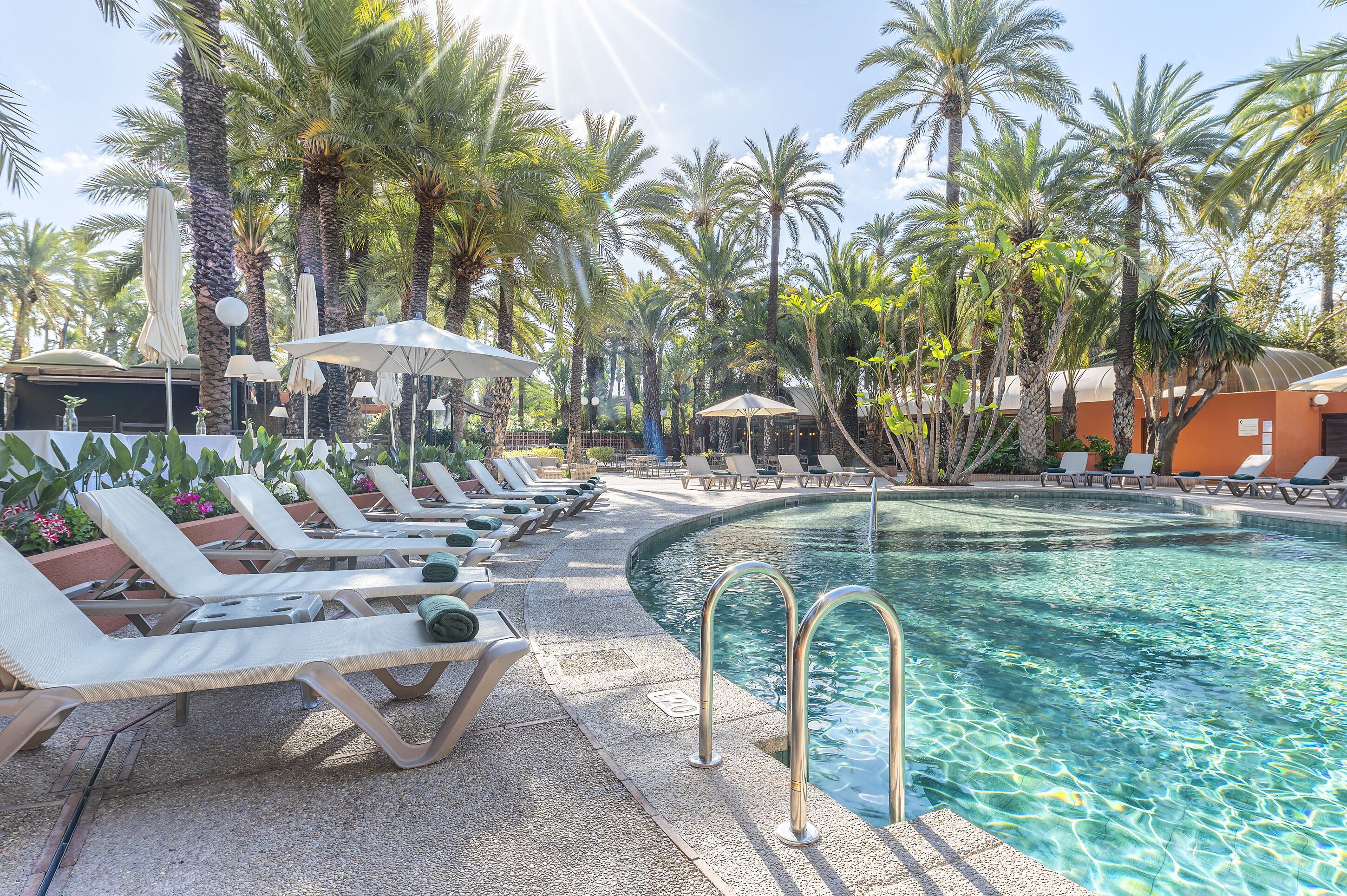 Zona junto a la piscina con tumbonas, sombrillas y palmeras.