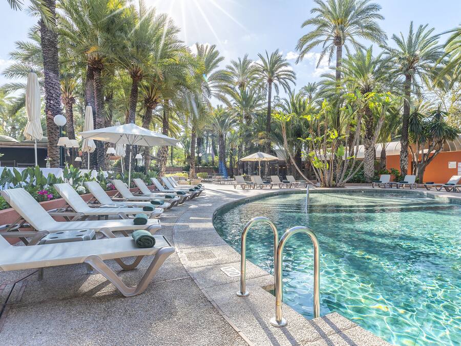 Zona junto a la piscina con tumbonas, sombrillas y palmeras.