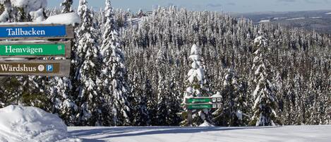 Paisaje nevado con un cartel que indica direcciones a Tallbacken, Hemvagen y Wardhus.