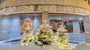 The exterior of the Crystal Hotel with a sign above the entrance, a Christmas tree, and flags. - Crystal Hotel (St. Moritz)