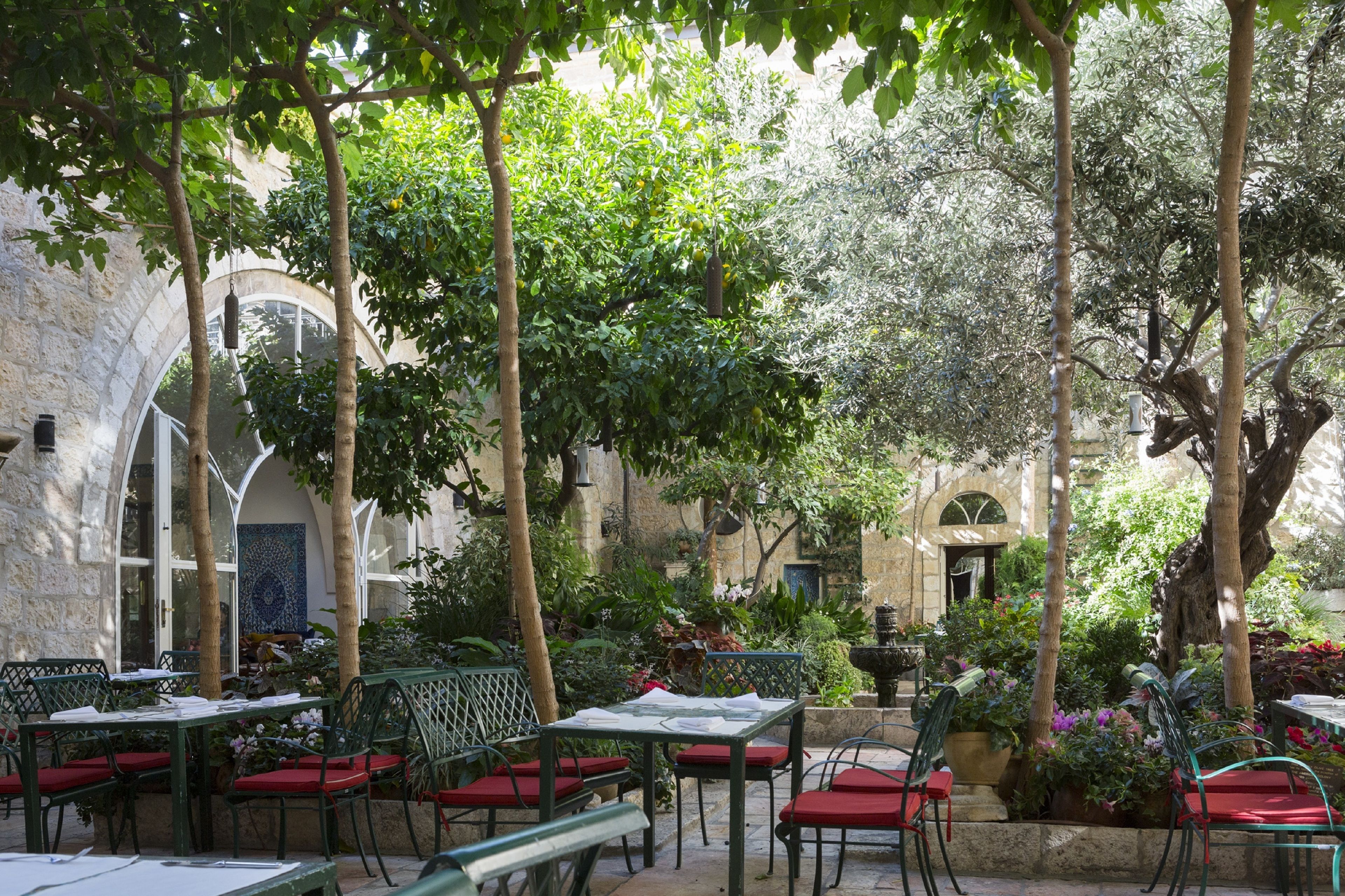 An outdoor café with tables and chairs, surrounded by trees and plants.
