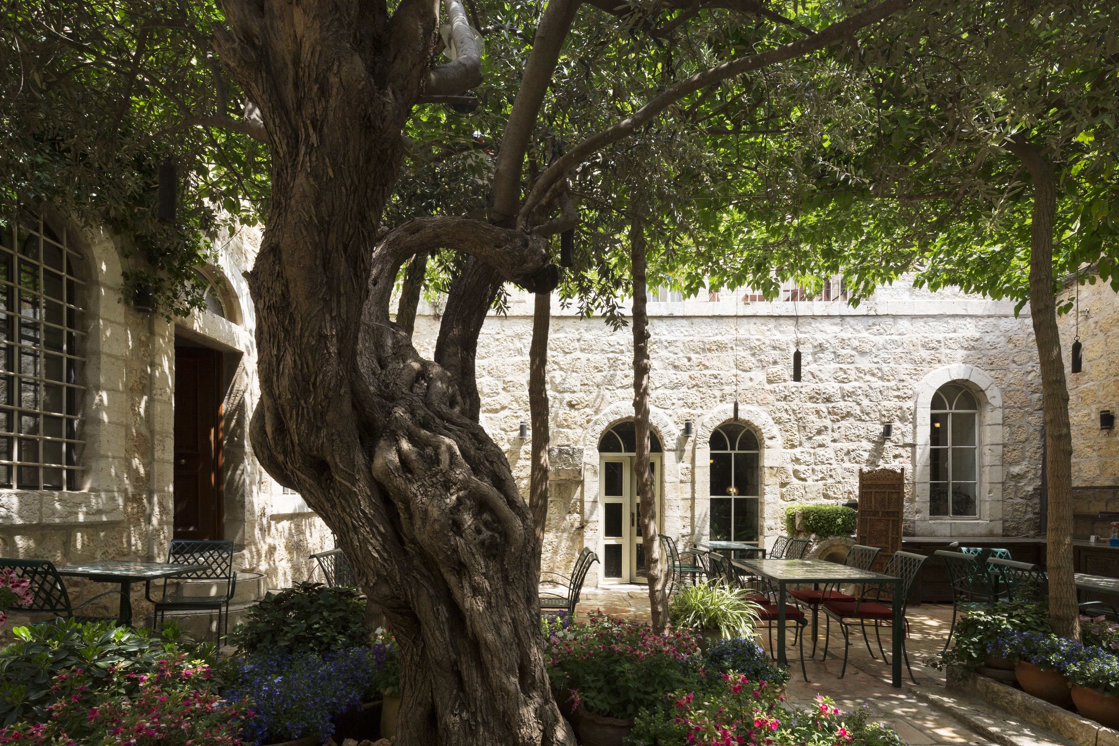 A courtyard with stone walls, arched windows, and a large tree. There are outdoor tables and chairs.