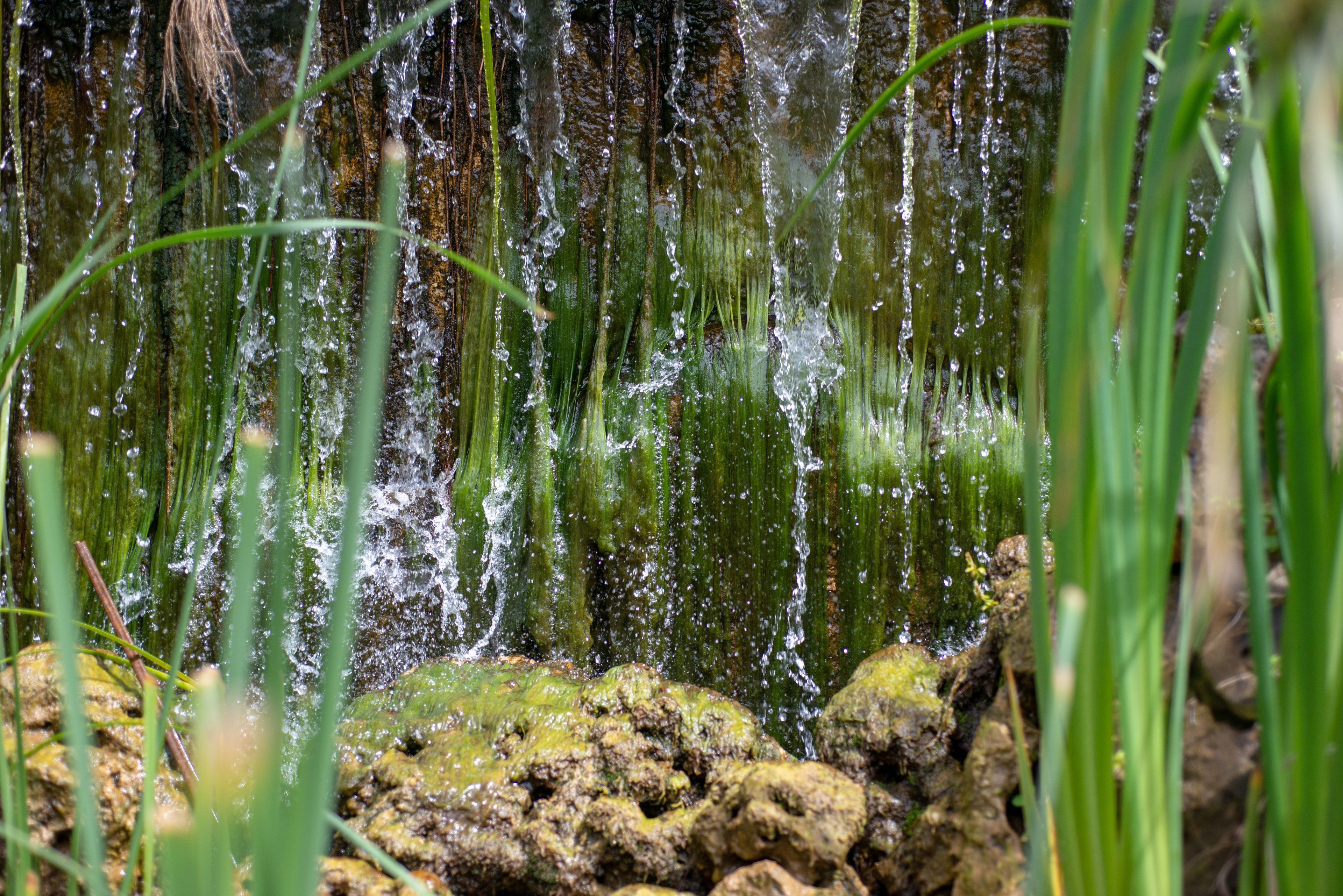 A natural water feature with water cascading over rocks and surrounded by greenery.